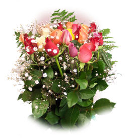 Send flowers online international -LocalStreets- Flower delivery,florists:Rose Bouquet Two Dozen Long